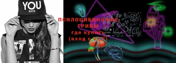 PSILOCYBIN Бугульма